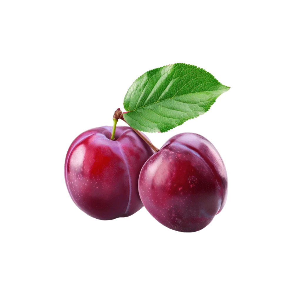Plum Red 1 lb buy online USA - 1